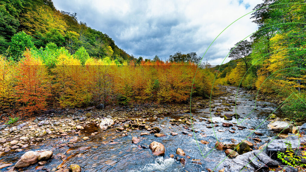 access-appalachia-story-Trail Lore: The Stories We Carry Into the Woods