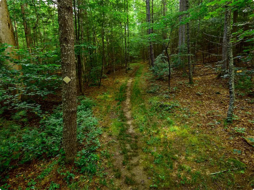 access-appalachia-nonprofit-Active Southern West Virginia