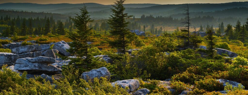 access-appalachia-nonprofit-West Virginia Highlands Conservancy
