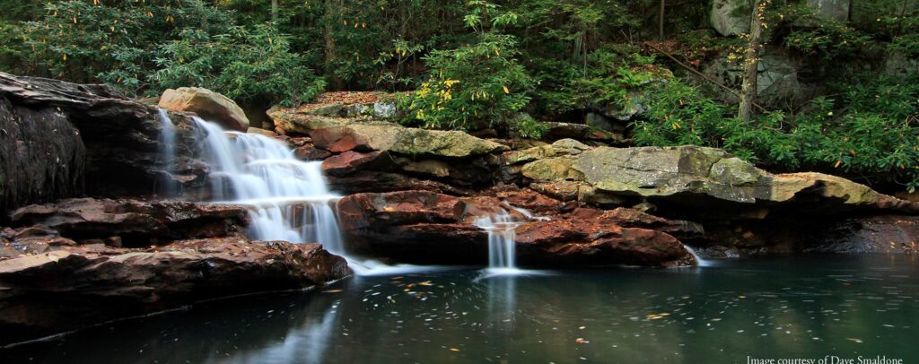 access-appalachia-nonprofit-Friends of Deckers Creek