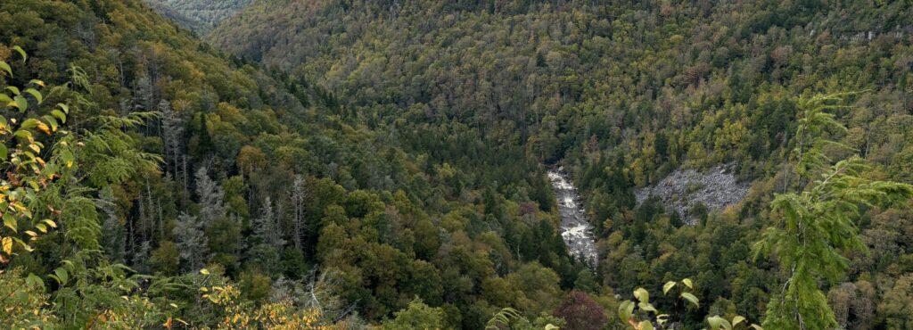 access-appalachia-nonprofit-Friends of Blackwater
