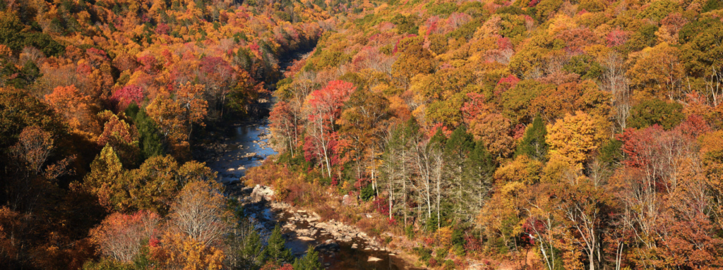 access-appalachia-nonprofit-Adventure Meadow River