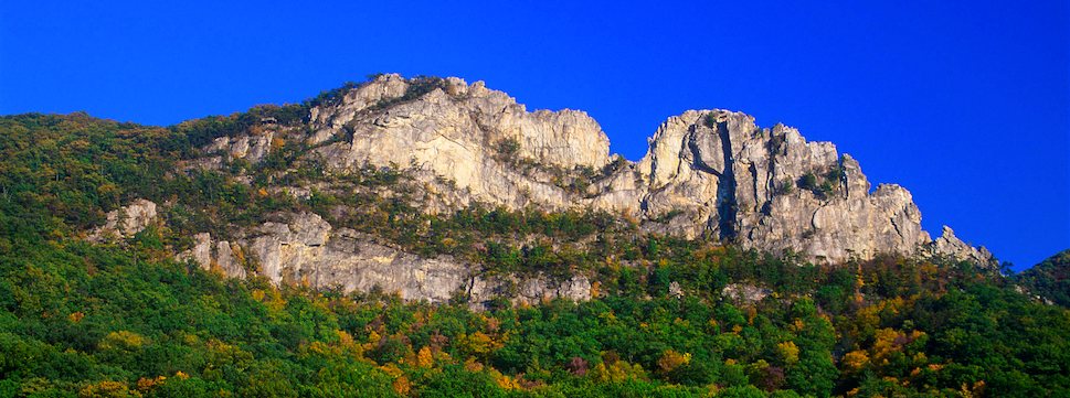 access-appalachia-nonprofit-Mon Forest Towns Partnership