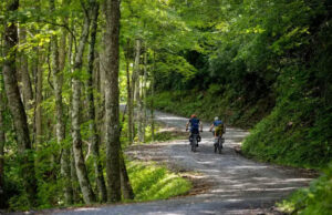 Mon Forest Towns Partnership