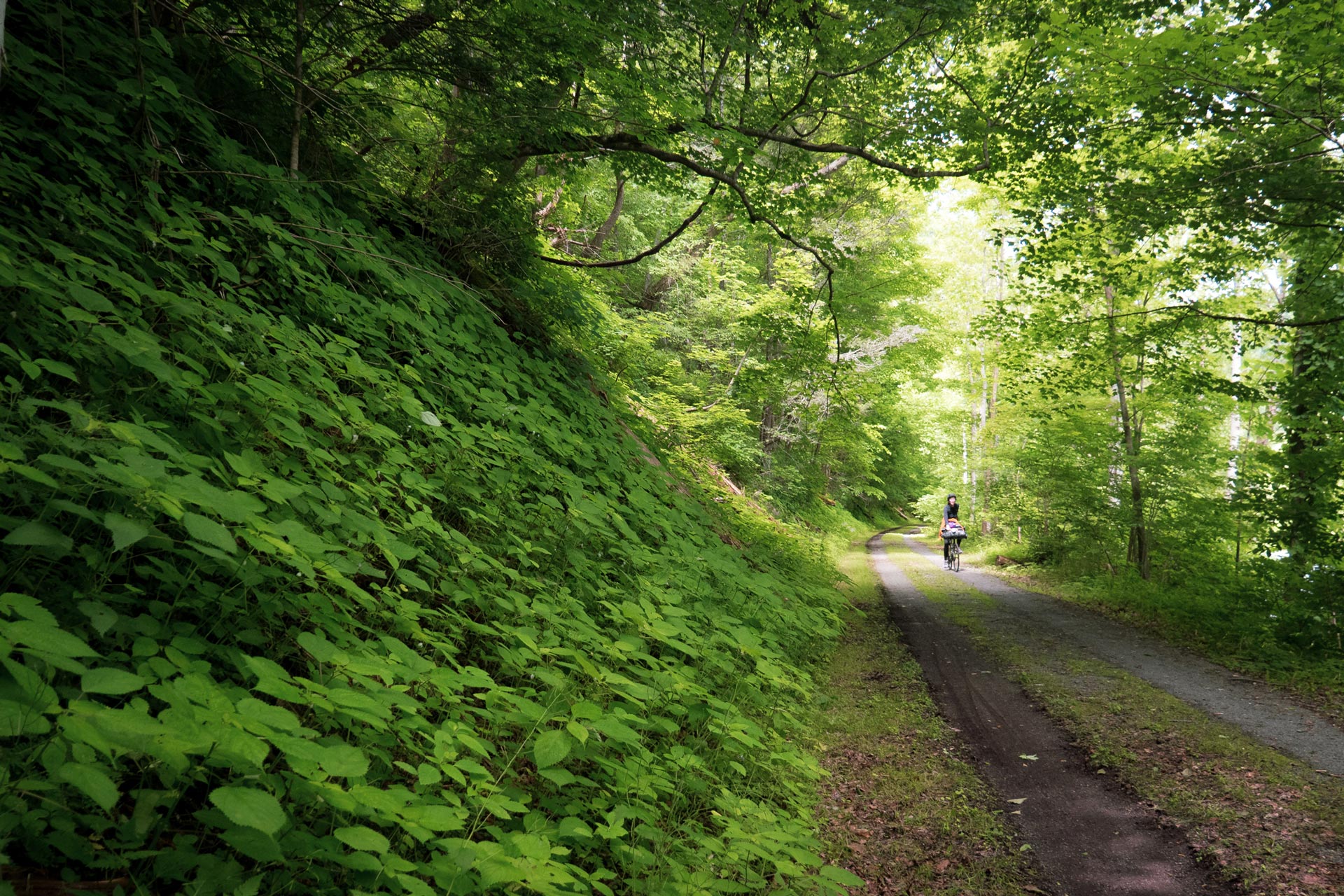Bikepacking the Greenbrier River Trail: What You Need to Know