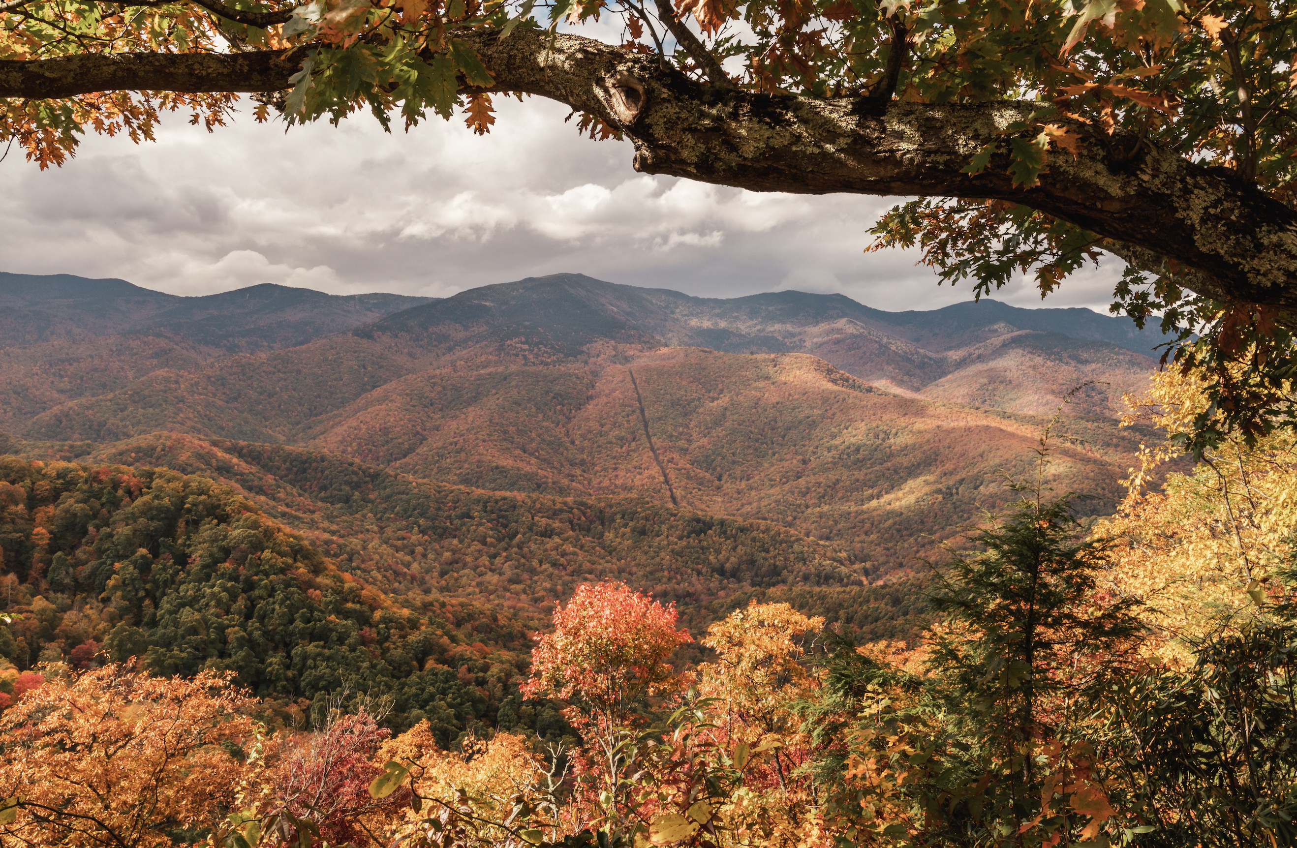 Fall Hiking on the Appalachian Trail